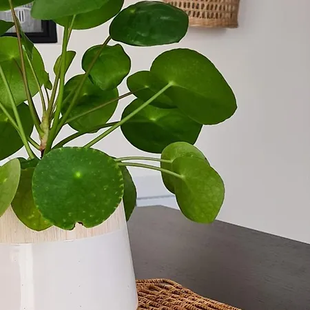 Une Pause En Champagne